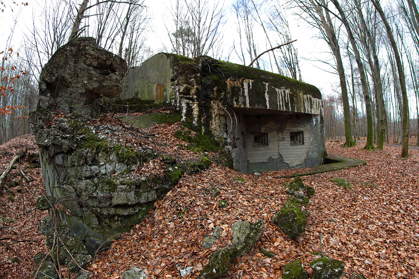 mos13 Černý les-4.jpg